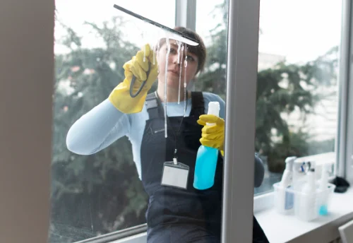 Nettoyage de vitres intérieures et extérieures à la Capelle-Bleys
